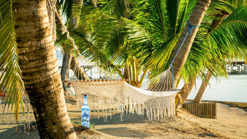 Beach Hammock Blanco