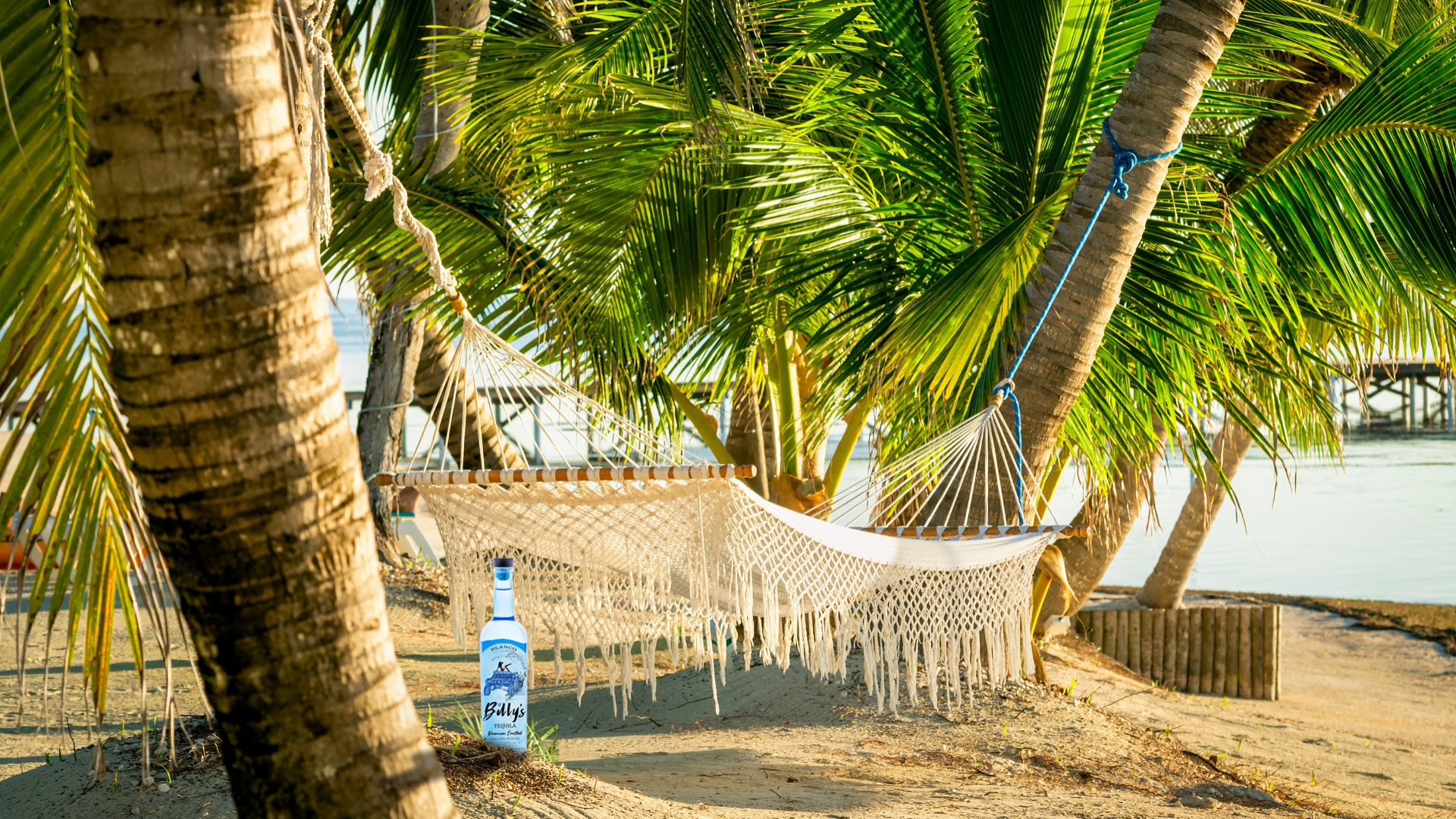 Beach Hammock Blanco