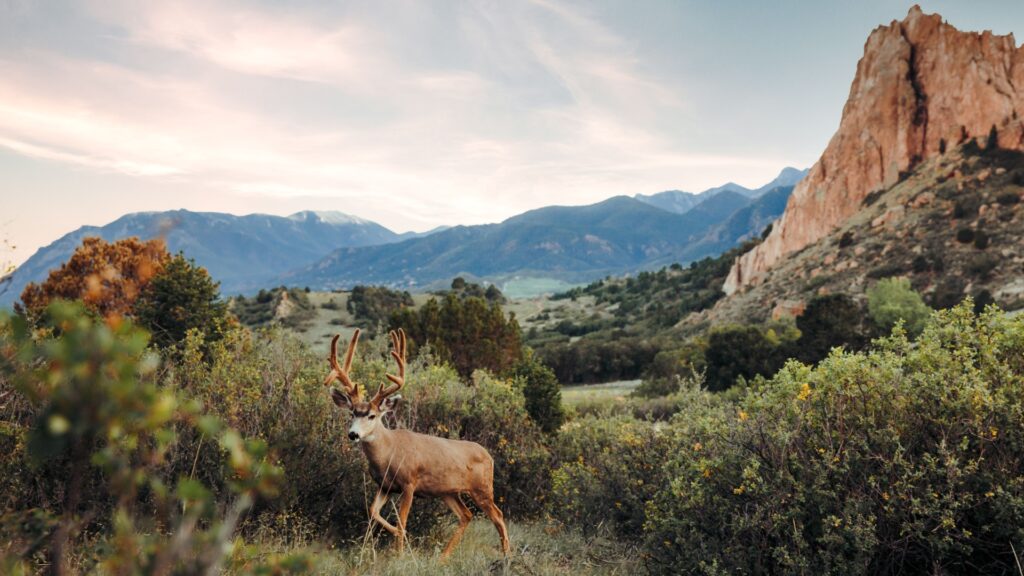 Colorado Lifestyle Product - Edit 4